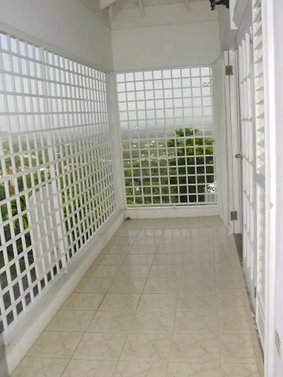 Hill Top Kingston Jamaica 4*,  Jamajka